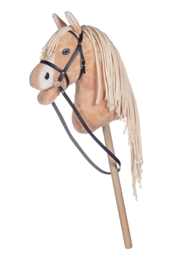 Stall Hobby Horsing