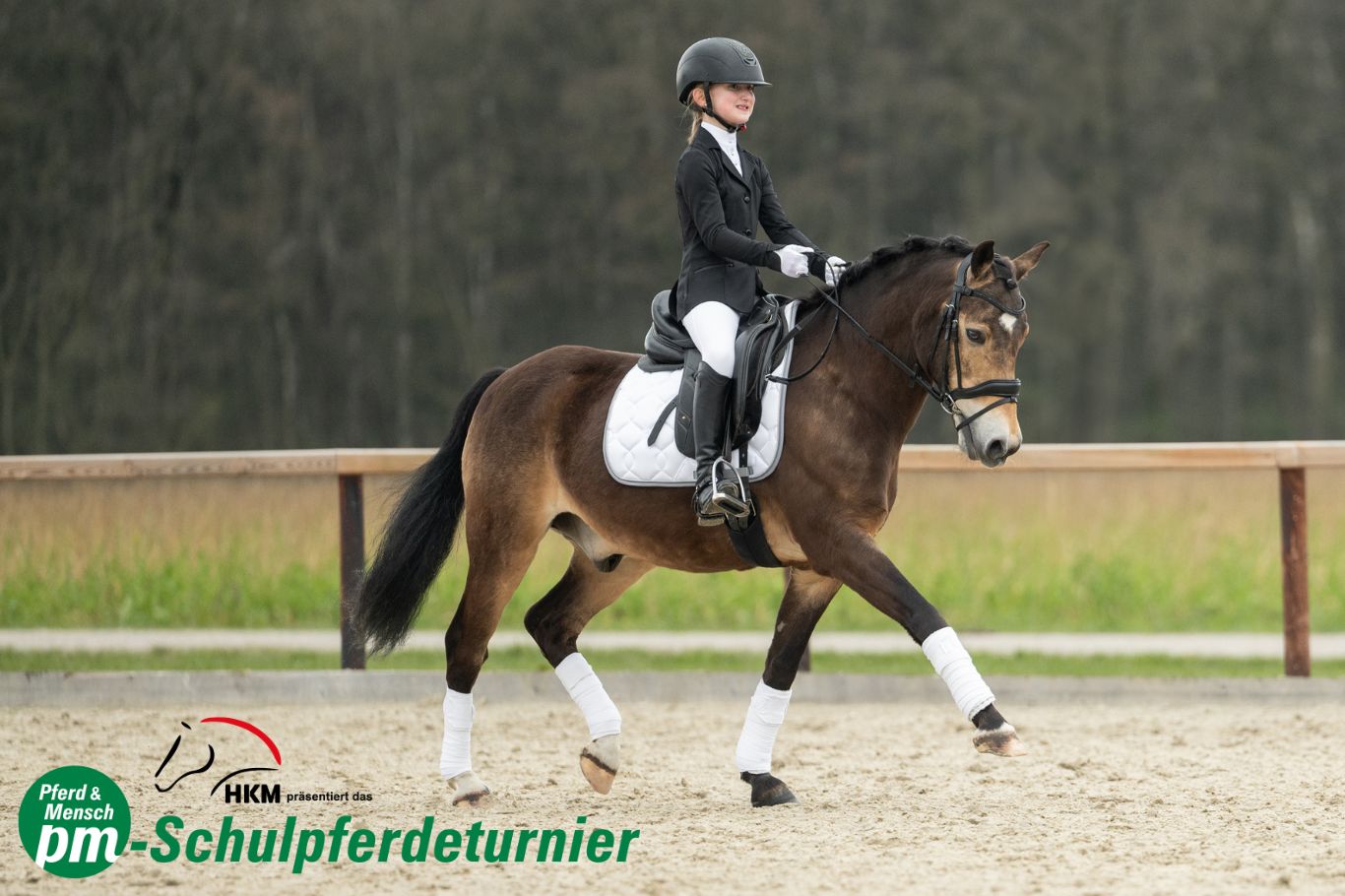 A girl sits on her horse at a school horse show.