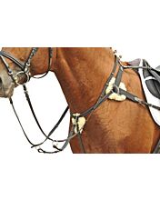 Collier de chasse 5 points Umbria Equitazione