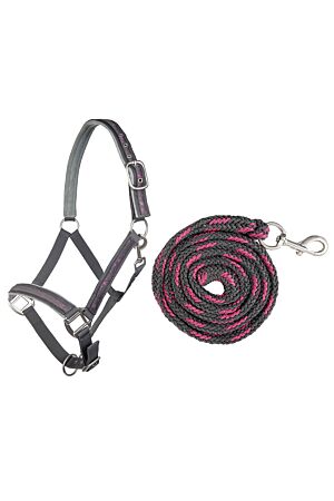 Halfter mit Strick 180cm und Karabiner -Stars-