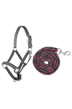 Head collar & lead rope (180cm), snap hook -Stars-