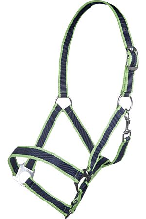 Head collar -Budapest-