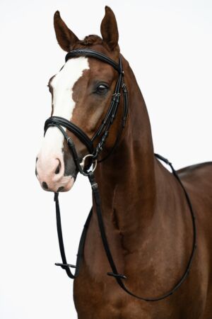Bridle -Jana-