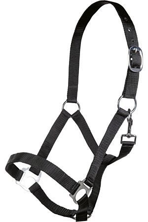 Head collar -Brisbane-
