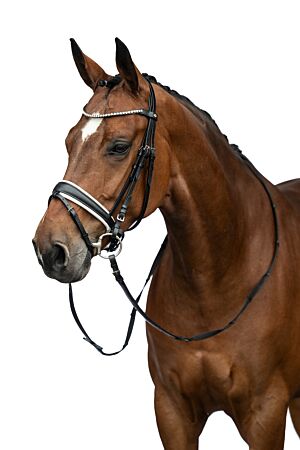 Bridle -Flora-