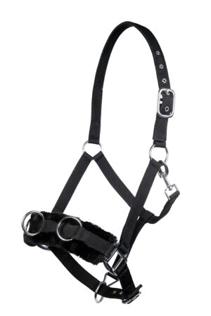 Lunge cavesson with plush padding