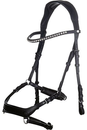 Bridon -Pro Anatomic-