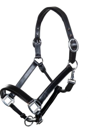 Leather head collar -Economic-