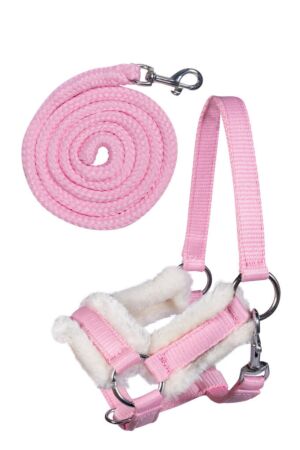 Cabezada y ramal -Hobby Horsing-