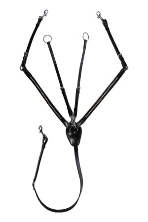Collier de chasse -Dana-