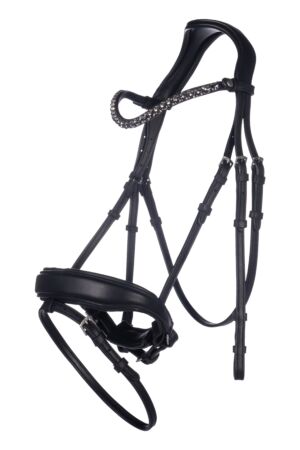 Bridle -Livigno-