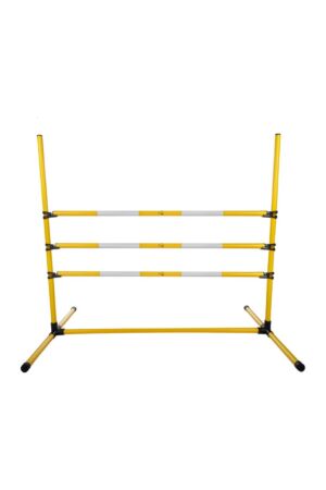 Sprung-Set -Hobby Horsing-
