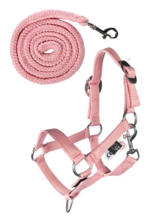 Licol et longe -Hobby Horsing Basic-