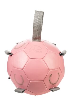 Ball as toy for horses -Fun-