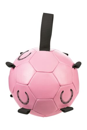 Pferdespielball -Fun-