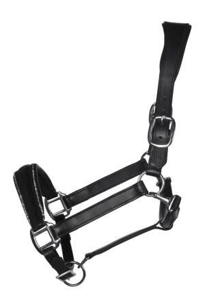 Leather head collar -Glamour-