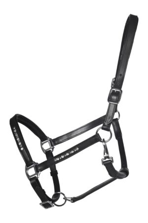 Leather head collar -Sparkle-