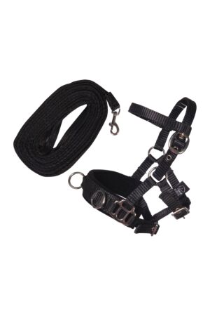 Set de longe -Hobby Horsing-