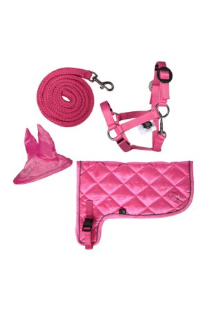 Set néon -Hobby Horsing-