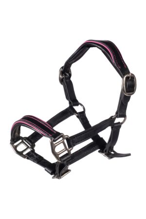 Cabezada de cuero Manchester -Hobby Horsing-