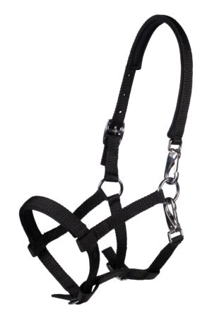 Foal head collar -Millie-