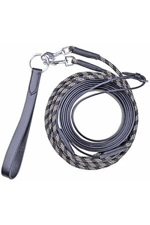 Draw reins
