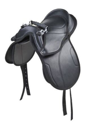 Silla de Shetty -Starter-