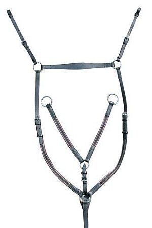 Breastplate/martingale silver fittings