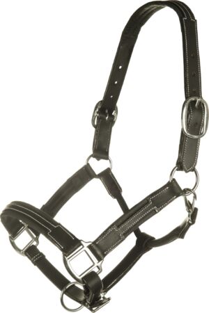 Leather head collar -Soft-