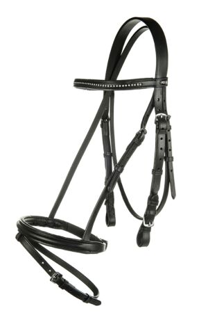 Bridle -Economic-