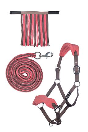 Set de licol mousqueton & franges détachables