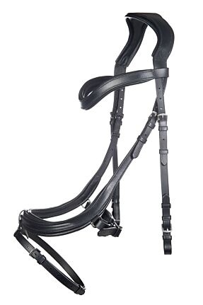 Bridon -Anatomic-