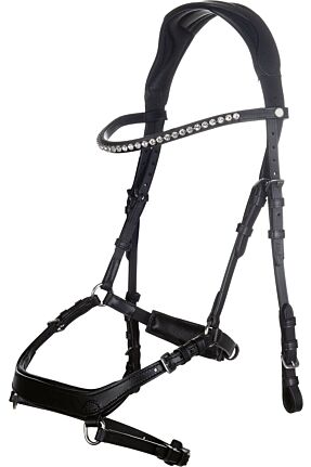 Bridon -Pro Anatomic-