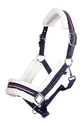 Head collar -Equine Sports- Style