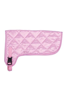 Couverture -Hobby Horsing-