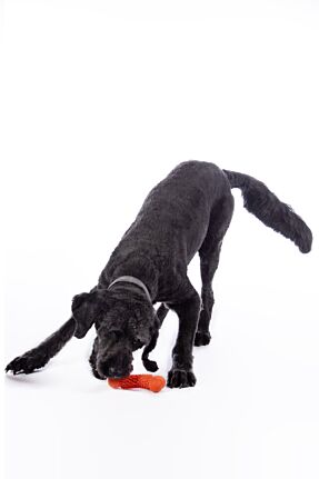 Hundespielzeug -Buddy Bone III- Naturkautschuk