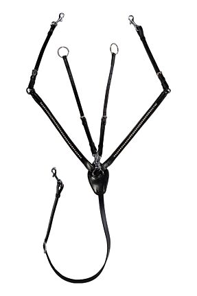 Collier de chasse -Dana-