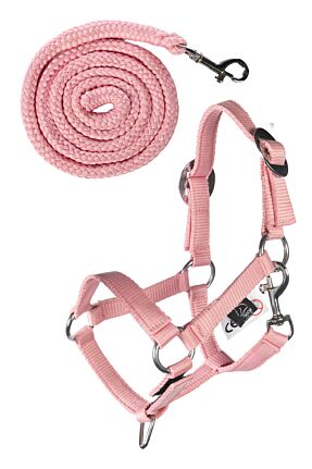 Halfter und Strick -Hobby Horsing Basic-