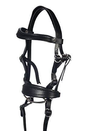 Trense -Hobby Horsing Basic-