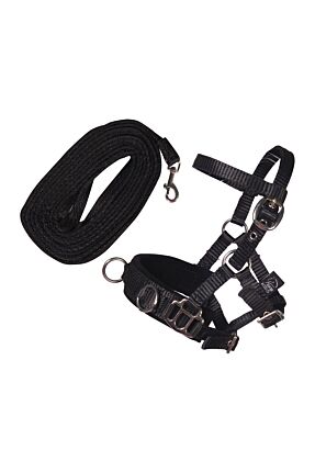 Longierset -Hobby Horsing-