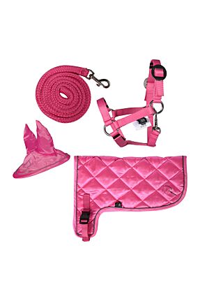 Neonset -Hobby Horsing-