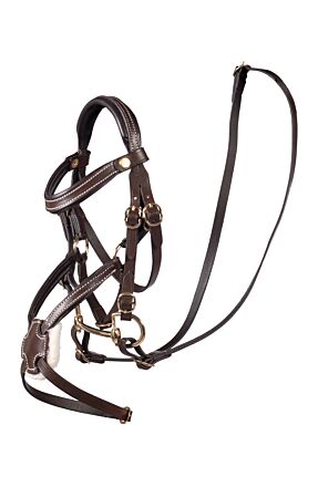Trense mexikanisch -Hobby Horsing-