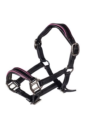 Lederhalfter Manchester -Hobby Horsing-