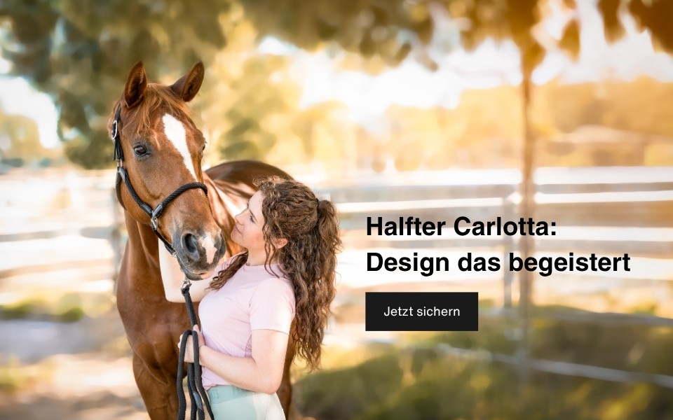 Frau in blauem Oberteil steht zwischen zwei Pferden, die Halfter tragen.