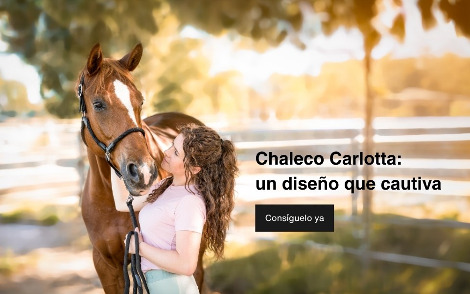 Mujer con top azul entre dos caballos con cabestros.